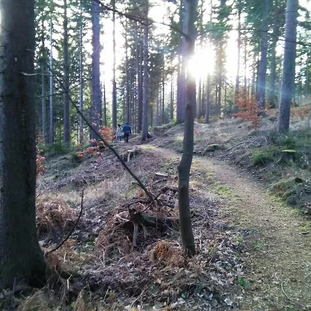Apartament Koliba アパート Świeradów-Zdrój